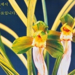 천상 천상